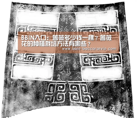 BBIN入口：蔷薇多少钱一棵？蔷薇花的种植栽培方法有哪些？