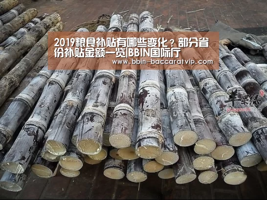 2019粮食补贴有哪些变化？部分省份补贴金额一览|BBIN国际厅