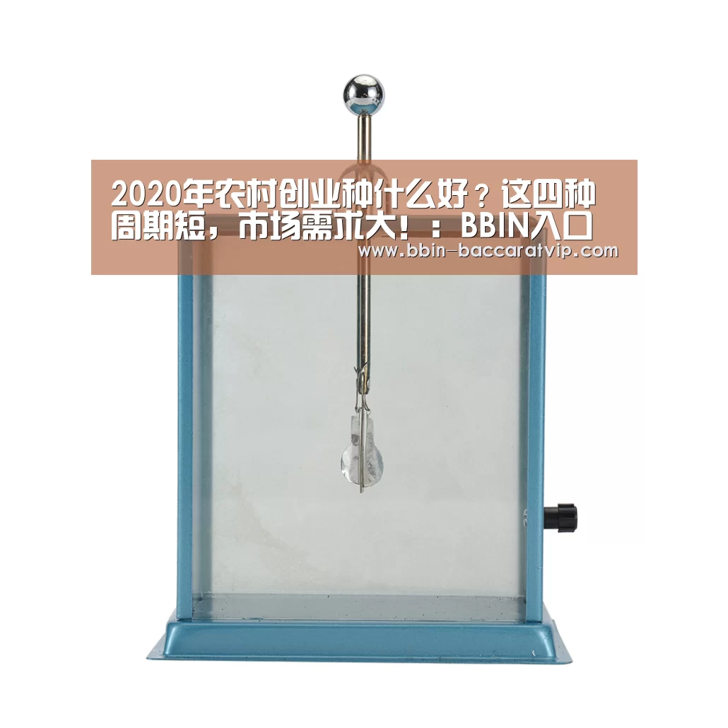 BBIN登录