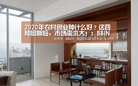 BBIN官网